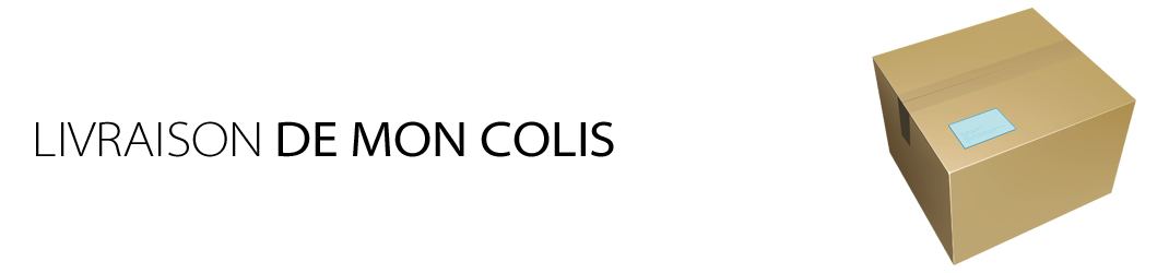 Livraison voile d'ombrage